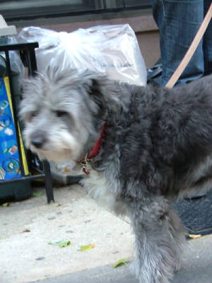 DSCF7878.jpg